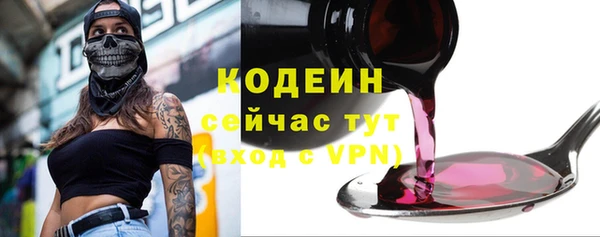 ешки Алзамай