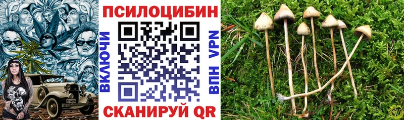 где можно купить   hydra зеркало  Псилоцибиновые грибы GOLDEN TEACHER  Муром 